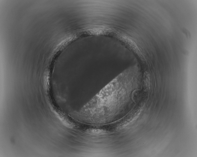 X0000111460590200907271253