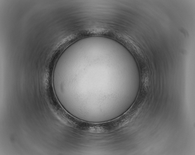 X0000111460591200907271253