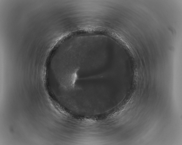 X0000111460592200907271253