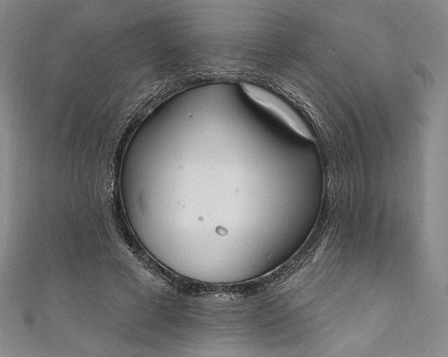 X0000111460593200907271253