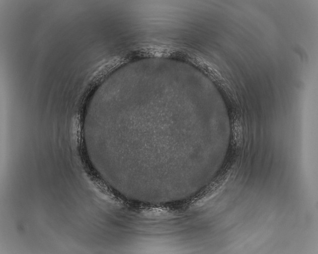 X0000111460594200907271253