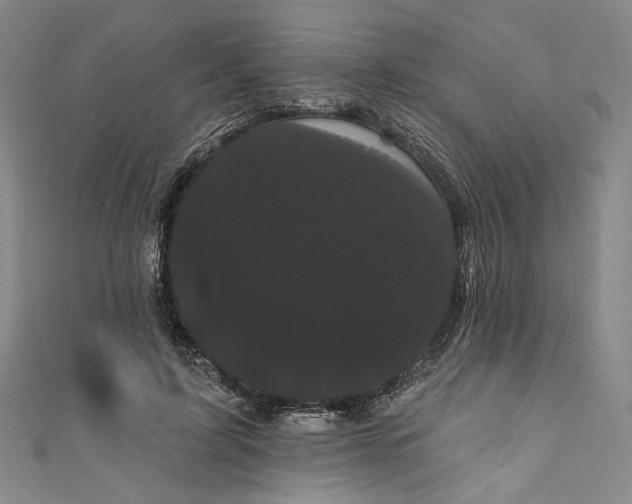 X0000111460595200907271253