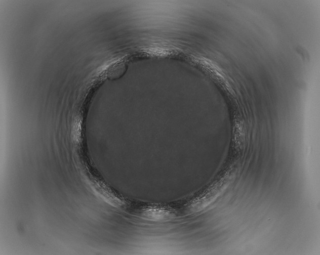 X0000111460596200907271253