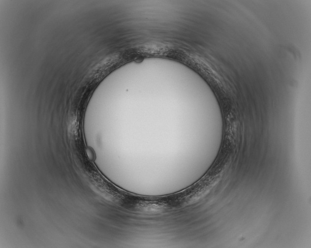 X0000111460597200907271253