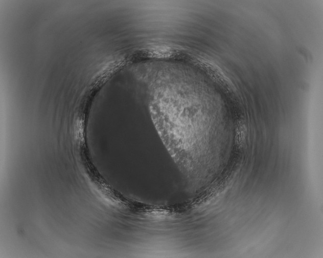 X0000111460598200907271253