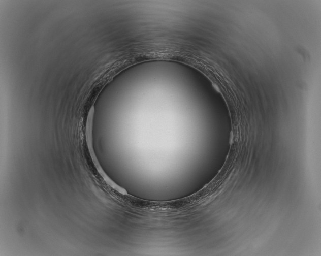 X0000111460599200907271253