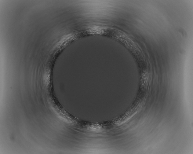 X0000111460600200907271253