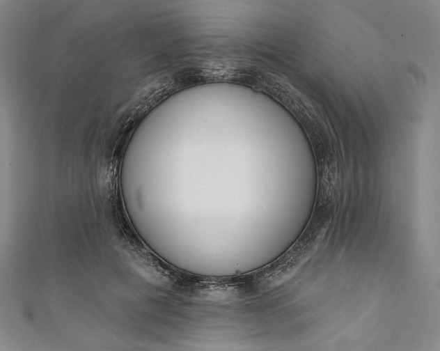 X0000111460601200907271253