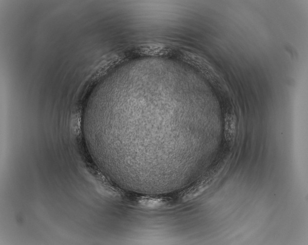 X0000111460602200907271253