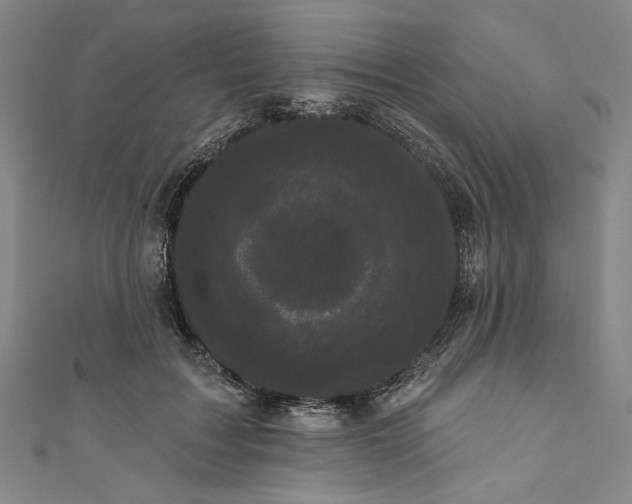 X0000111460603200907271253