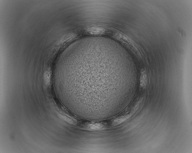 X0000111460604200907271253