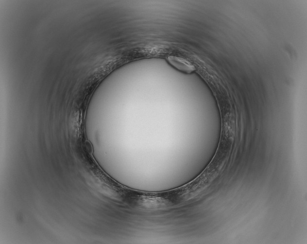 X0000111460605200907271253