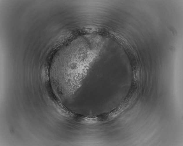 X0000111460606200907271253