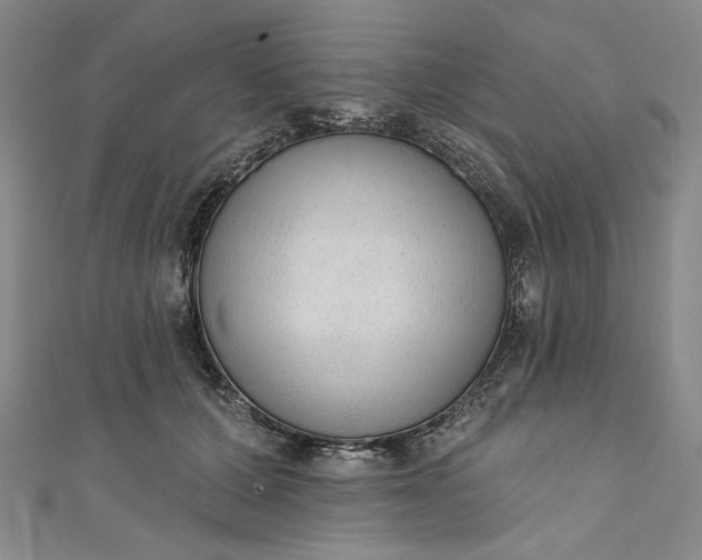 X0000111460607200907271253