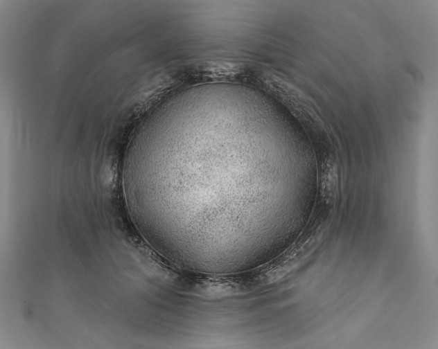 X0000111460608200907271253