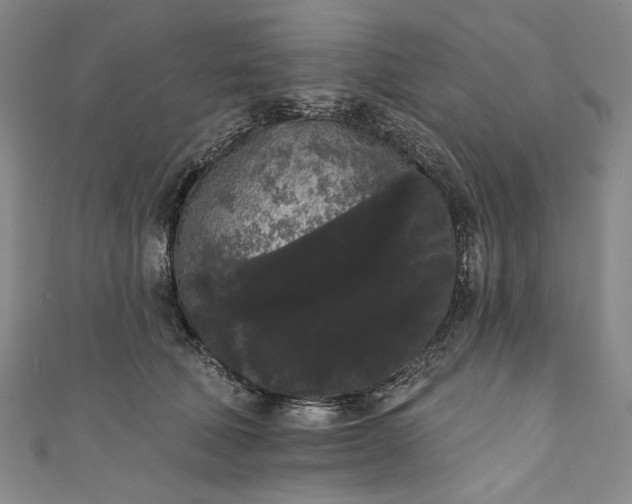 X0000111460610200907271253