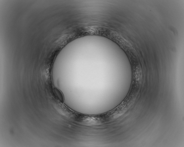 X0000111460611200907271253