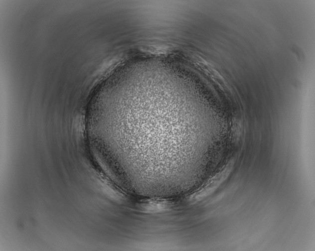 X0000111460612200907271253