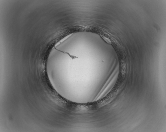 X0000111460613200907271253