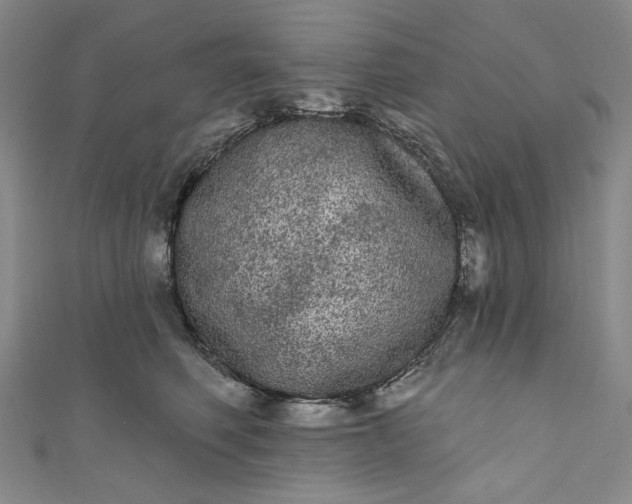 X0000111460614200907271253