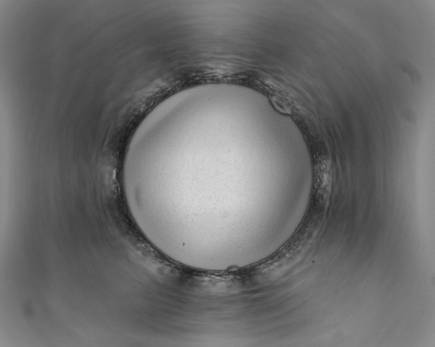 X0000111460615200907271253