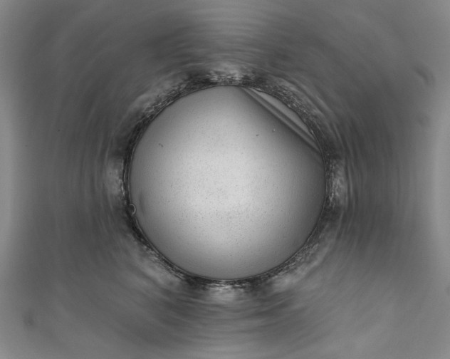 X0000111460616200907271253