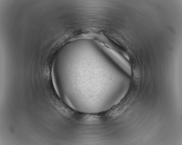 X0000111460617200907271252