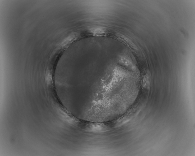 X0000111460618200907271252