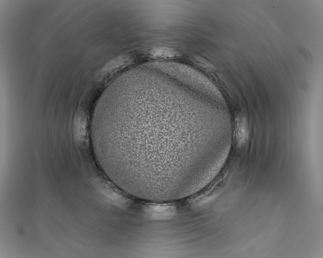 X0000111460619200907271252