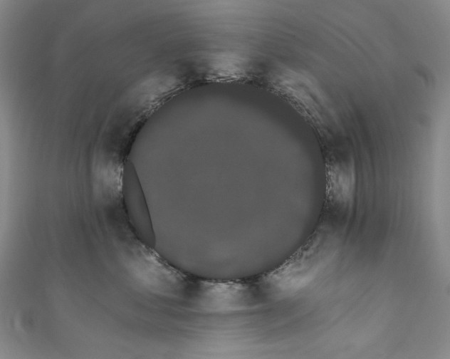 X0000111460621200907271252