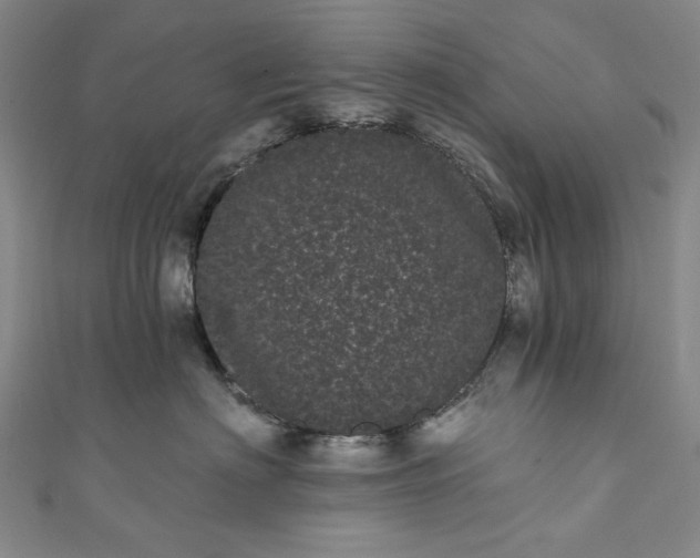 X0000111460622200907271252