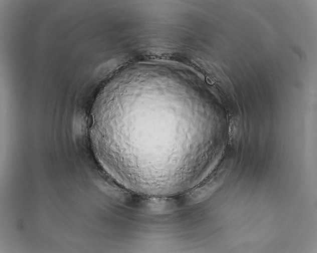 X0000111460623200907271252