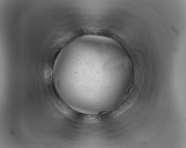 X0000111460624200907271252