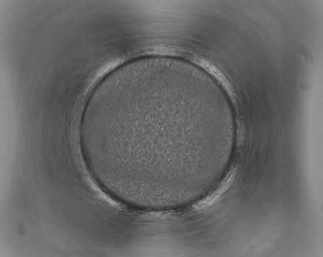 X0000111460625200907271252