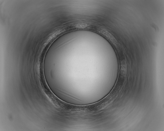 X0000111460626200907271252