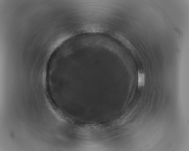 X0000111460627200907271252