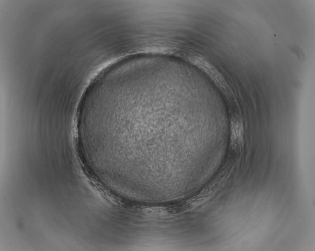 X0000111460628200907271252