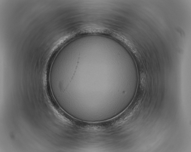 X0000111460629200907271252