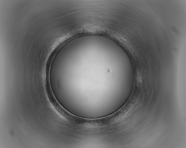 X0000111460630200907271252