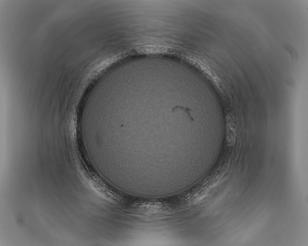 X0000111460631200907271252