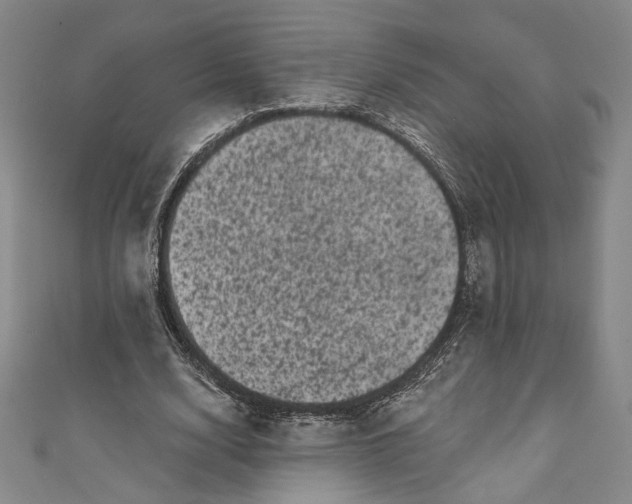 X0000111460632200907271252