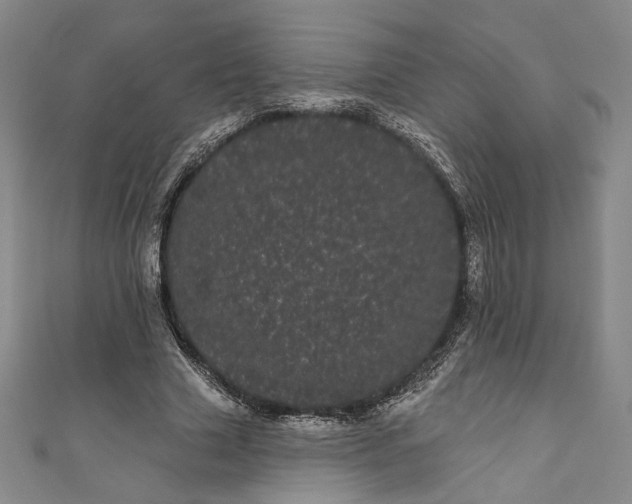 X0000111460633200907271252