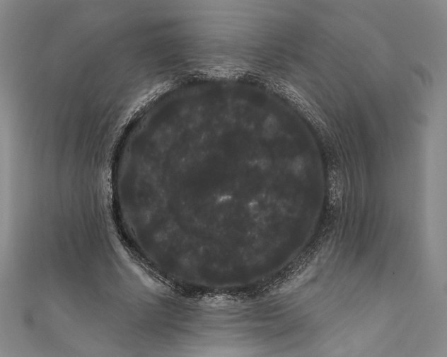 X0000111460634200907271252