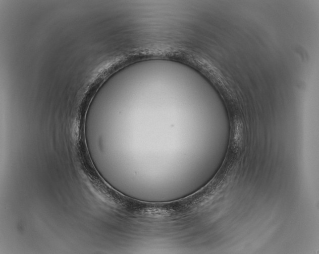 X0000111460636200907271252