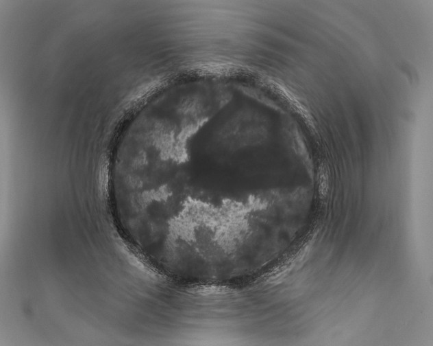 X0000111460637200907271252