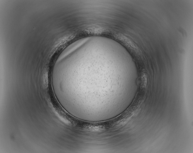 X0000111460638200907271252