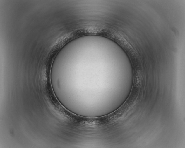 X0000111460639200907271252