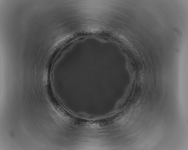 X0000111460640200907271252