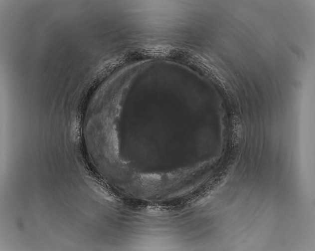 X0000111460641200907271252