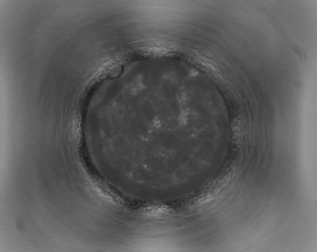 X0000111460642200907271252